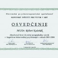 Zvětšit obrázek: certificate 2