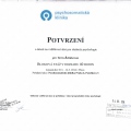 Zvětšit obrázek: certificate 11