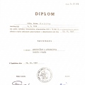 Zvětšit obrázek: certificate 2