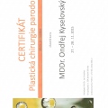 Zvětšit obrázek: certificate 1