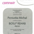 Zvětšit obrázek: certificate 11