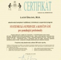Zvětšit obrázek: certificate 3