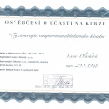 Zvětšit obrázek: certificate 17