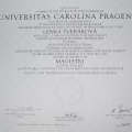 Zvětšit obrázek: certificate 1