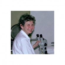 Zvětšit obrázek: Jarmila Vajčnerová, gynekolog Praha