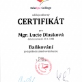 Zvětšit obrázek: certificate 16