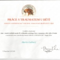 Zvětšit obrázek: certificate 1