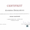 Zvětšit obrázek: certificate 3