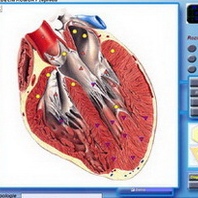 Zvětšit obrázek: Ladislav Flekal, lidový léčitel Písek
