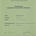 Zvětšit obrázek: certificate 11