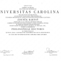 Zvětšit obrázek: certificate 1