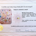 Zvětšit obrázek: certificate 4