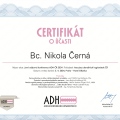 Zvětšit obrázek: certificate 1