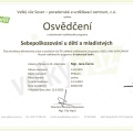 Zvětšit obrázek: certificate 7