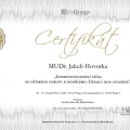 Zvětšit obrázek: certificate 9