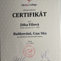 Zvětšit obrázek: certificate 8