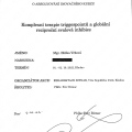 Zvětšit obrázek: certificate 4