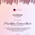Zvětšit obrázek: certificate 5