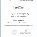 Zvětšit obrázek: certificate 3
