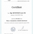 Zvětšit obrázek: certificate 6