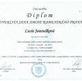 Zvětšit obrázek: certificate 8