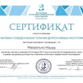 Zvětšit obrázek: certificate 13