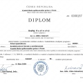 Zvětšit obrázek: certificate 11