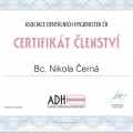 Zvětšit obrázek: certificate 2