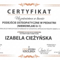 Powiększ obraz: certificate 3