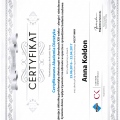 Powiększ obraz: certificate 17