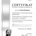 Powiększ obraz: certificate 10