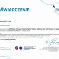 Powiększ obraz: certificate 3