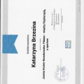 Powiększ obraz: certificate 11