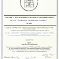 Powiększ obraz: certificate 2