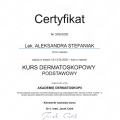 Powiększ obraz: certificate 4