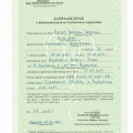 Powiększ obraz: certificate 11