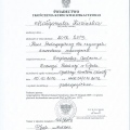 Powiększ obraz: certificate 4
