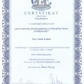 Powiększ obraz: certificate 15