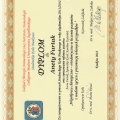 Powiększ obraz: certificate 6
