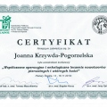 Powiększ obraz: certificate 3