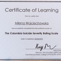 Powiększ obraz: certificate 4