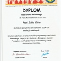 Powiększ obraz: certificate 7