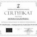 Powiększ obraz: certificate 11