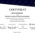 Powiększ obraz: certificate 9