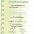 Powiększ obraz: certificate 13