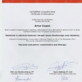 Powiększ obraz: certificate 11