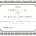 Powiększ obraz: certificate 94