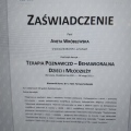 Powiększ obraz: certificate 2