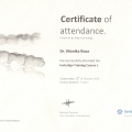 Powiększ obraz: certificate 3