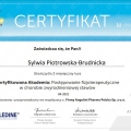 Powiększ obraz: certificate 23